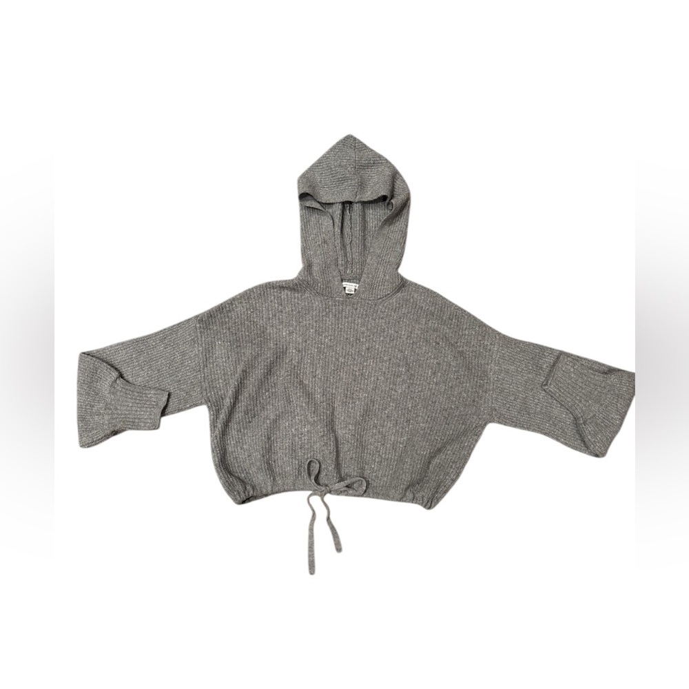 American Eagle Outfitters Gray Cropped Hooded Sweater